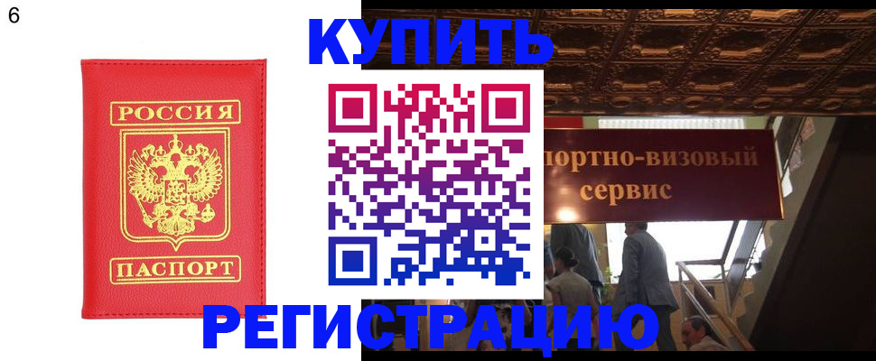 временная регистрация для школы в Чудово